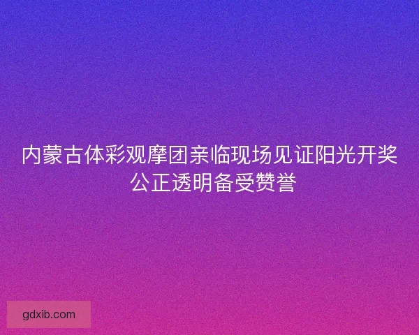 内蒙古体彩观摩团亲临现场见证阳光开奖 公正透明备受赞誉